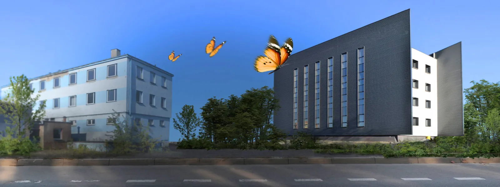 Renovation page banner