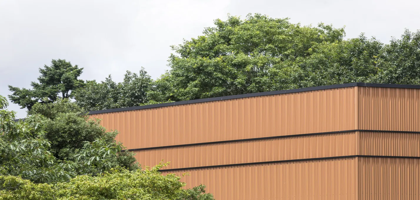 buildingCompressFormat_5 SG_-gymnase-oudon-ECR-B-007.jpg