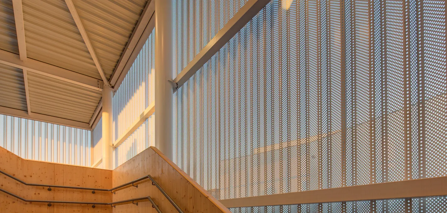 6 Ginko HD-31 © Xavier Dumoulin_buildingCompressFormat