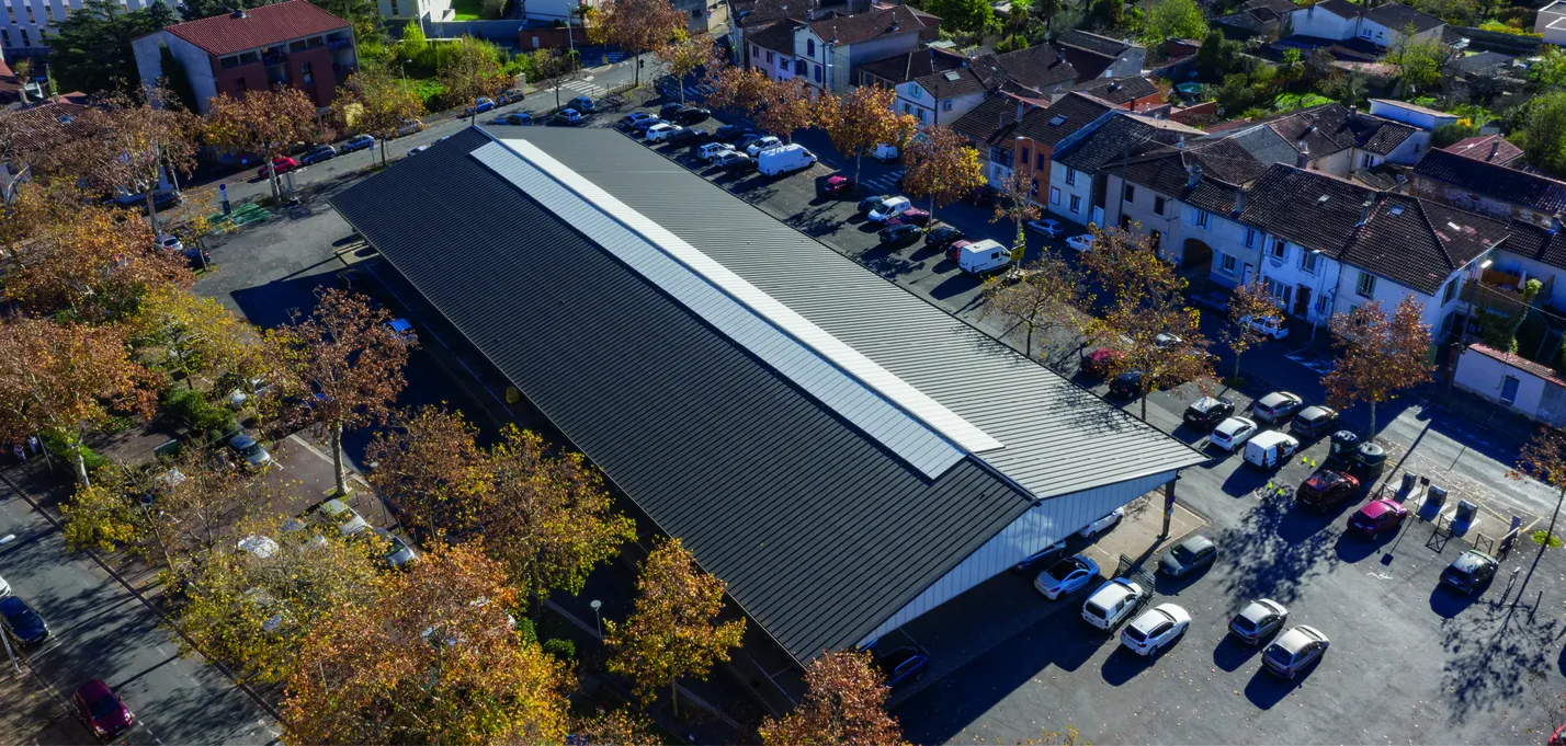 1 . Castelviel © Drône OPS_buildingCompressFormat