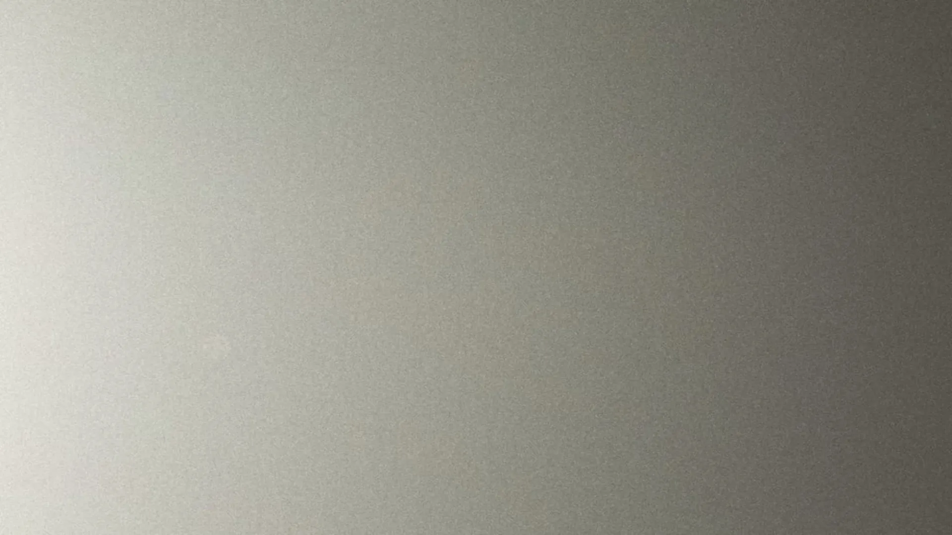 Hairplus - Silver 4930 ral 9006 - 1_jpg_productSliderTopBig