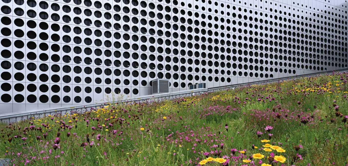 buildingCompressFormat_8 Mai2024-HD-46R.jpg