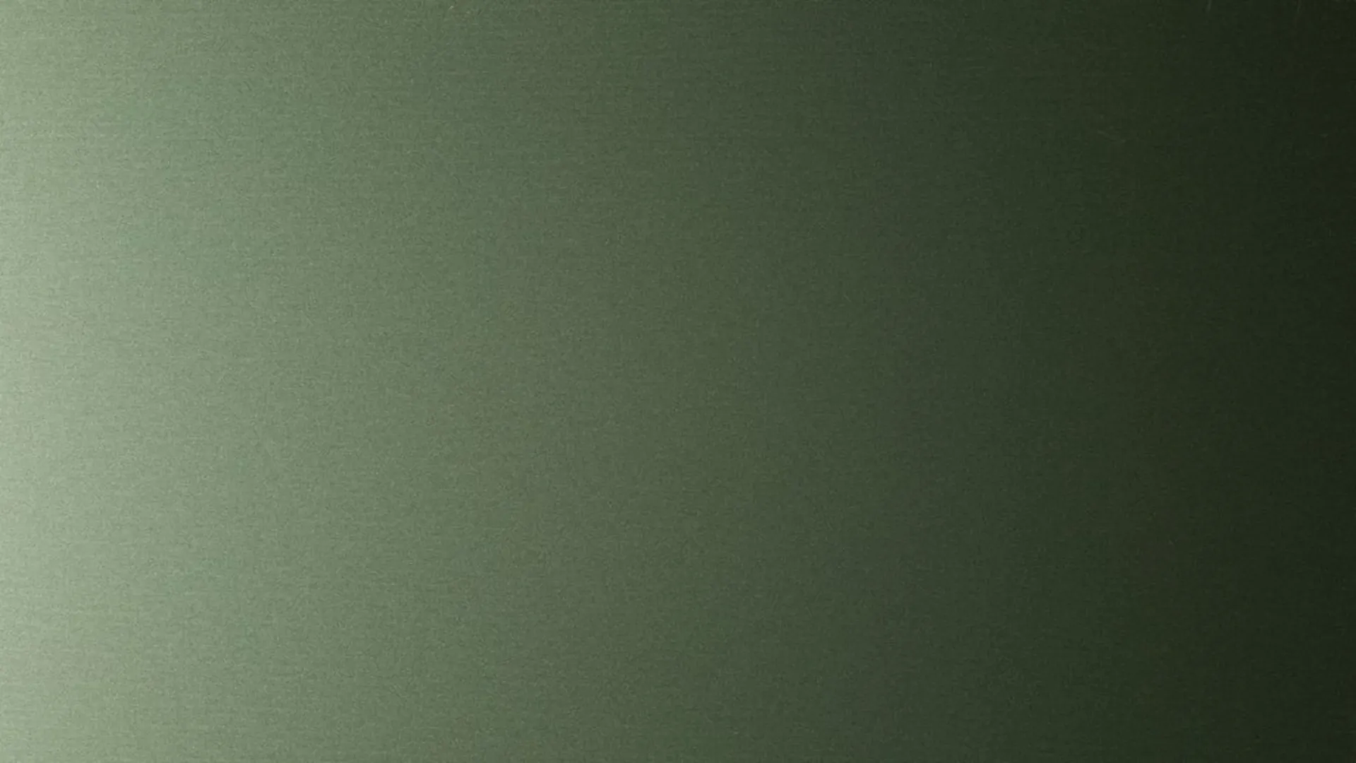 Hairplus - Moss 4688 - 1_jpg_productSliderTopBig