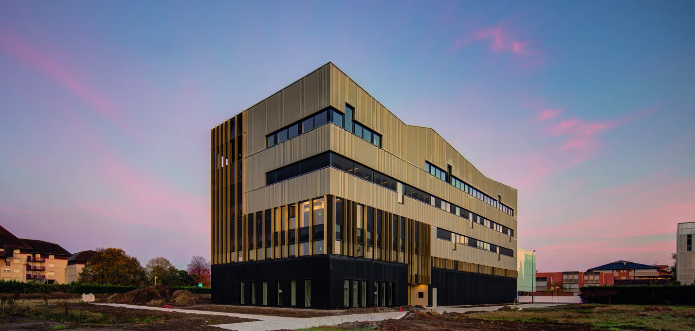 3 Pyrite © Xavier Dumoulin_buildingCompressFormat