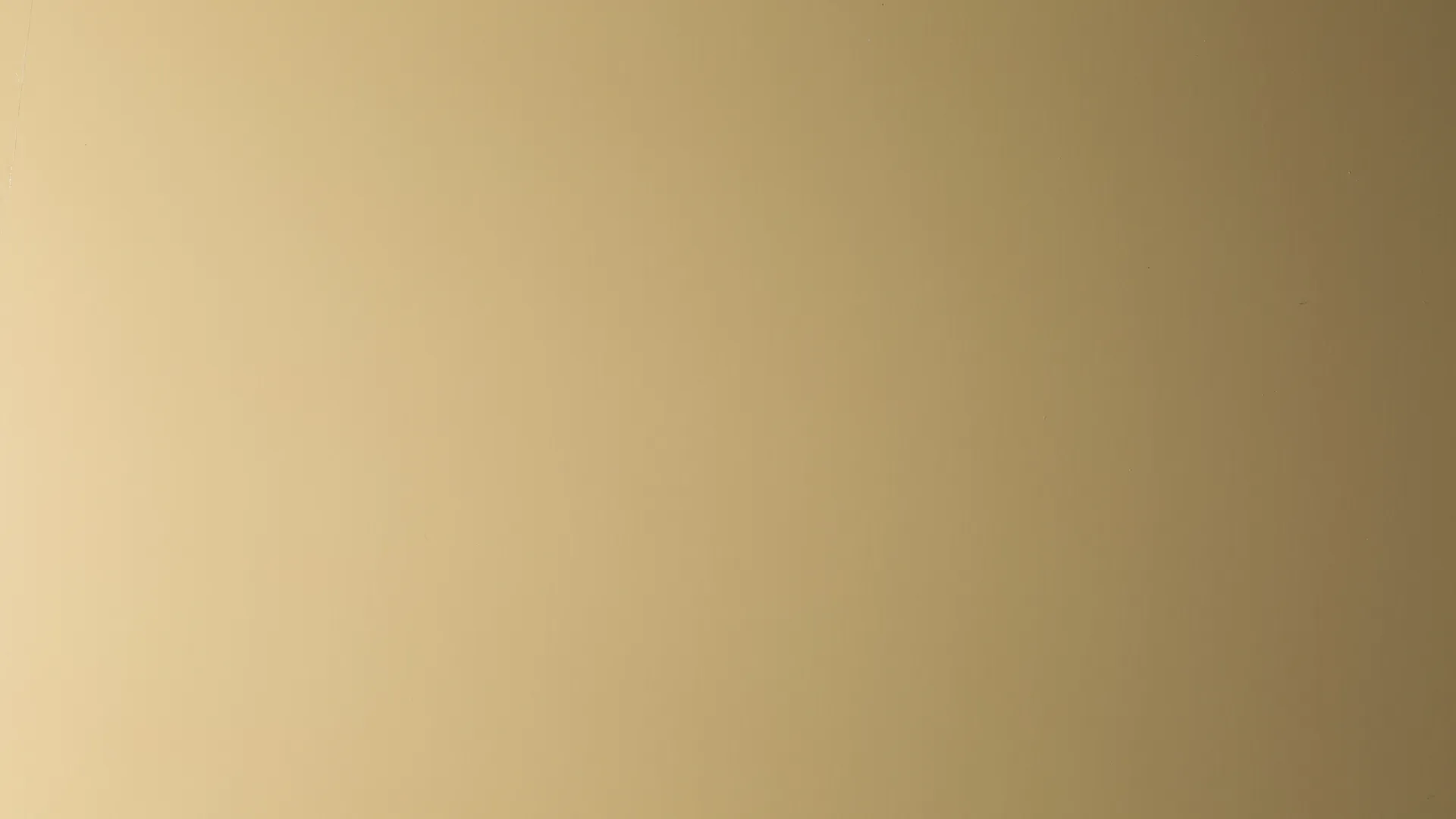 Hairplus - Beige 1019 - 1_jpg_productSliderTopBig