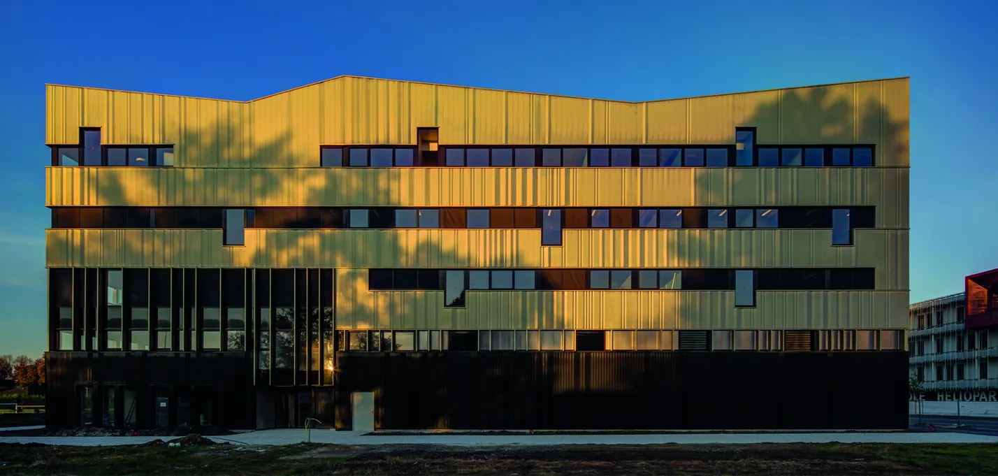 4 Pyrite © Xavier Dumoulin_buildingCompressFormat