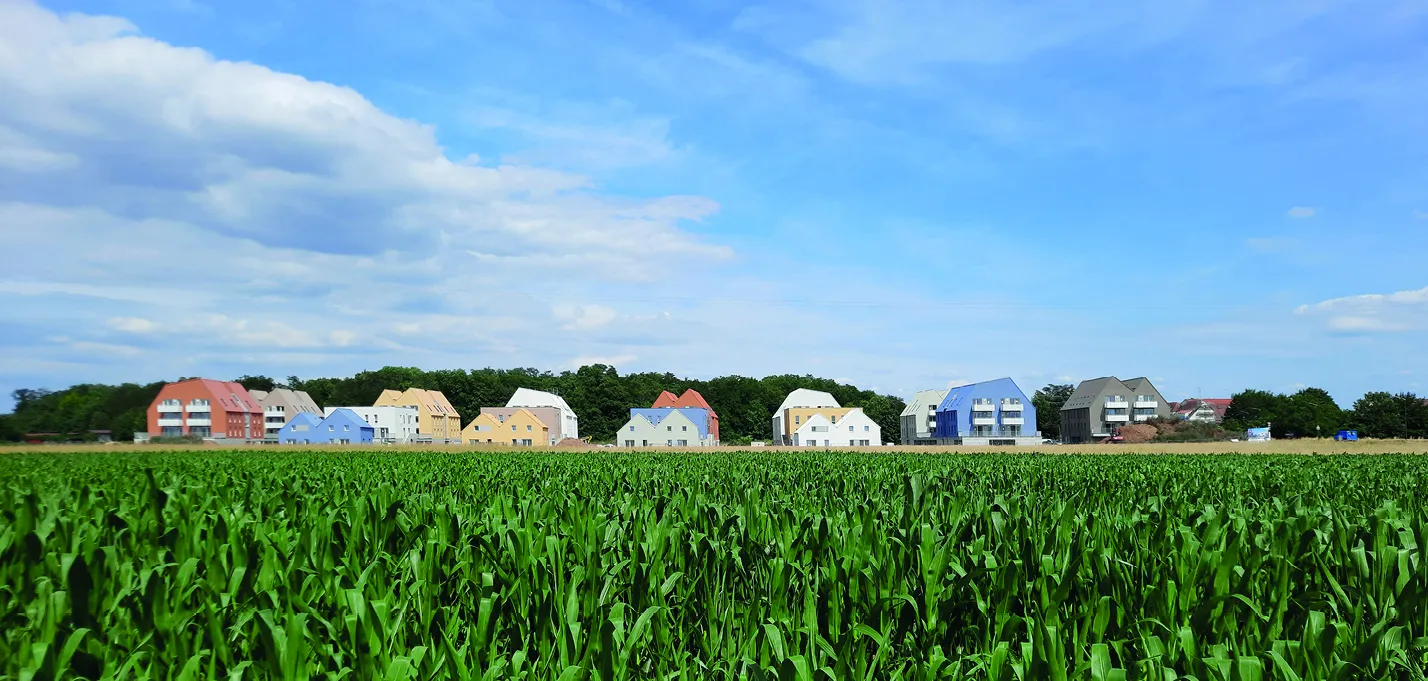 buildingCompressFormat_1 20230627_155921 R.jpg