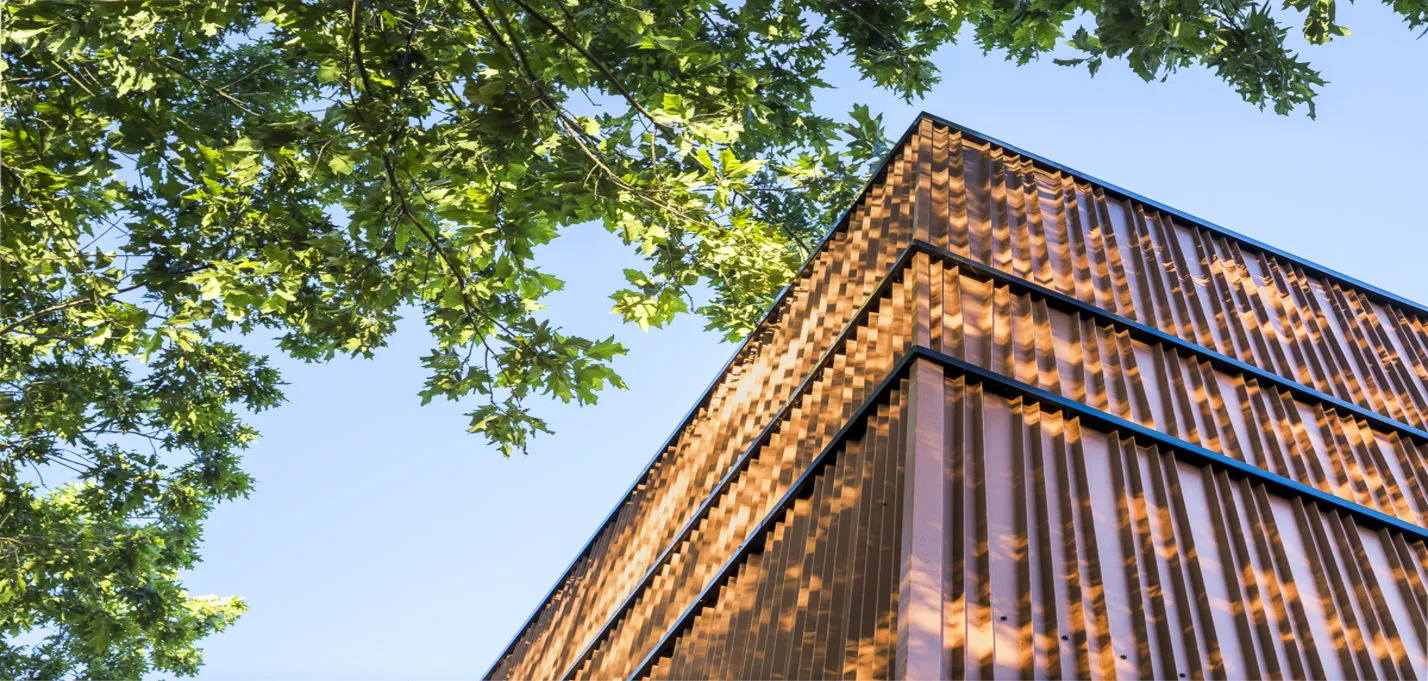 buildingCompressFormat_8 SG_-gymnase-oudon-ECR-B-001.jpg