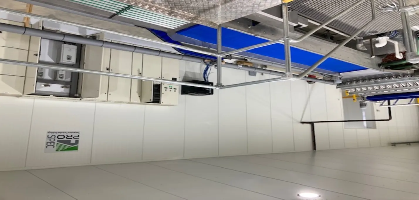 buildingCompressFormat_Three king cherries New Zealand 3.jpg