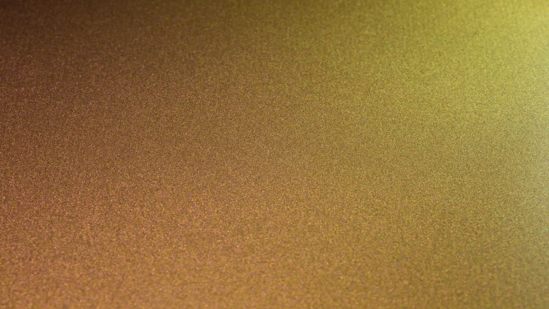 Irysa - Octopus - 79GP_jpg_productSliderTopBig