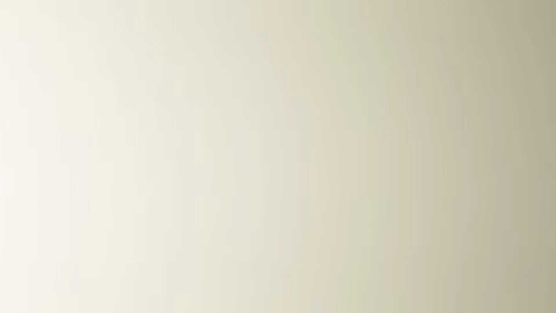 Hairplus - Whitegrey 4902 ral 9002 - 2_jpg_productSliderTopBig