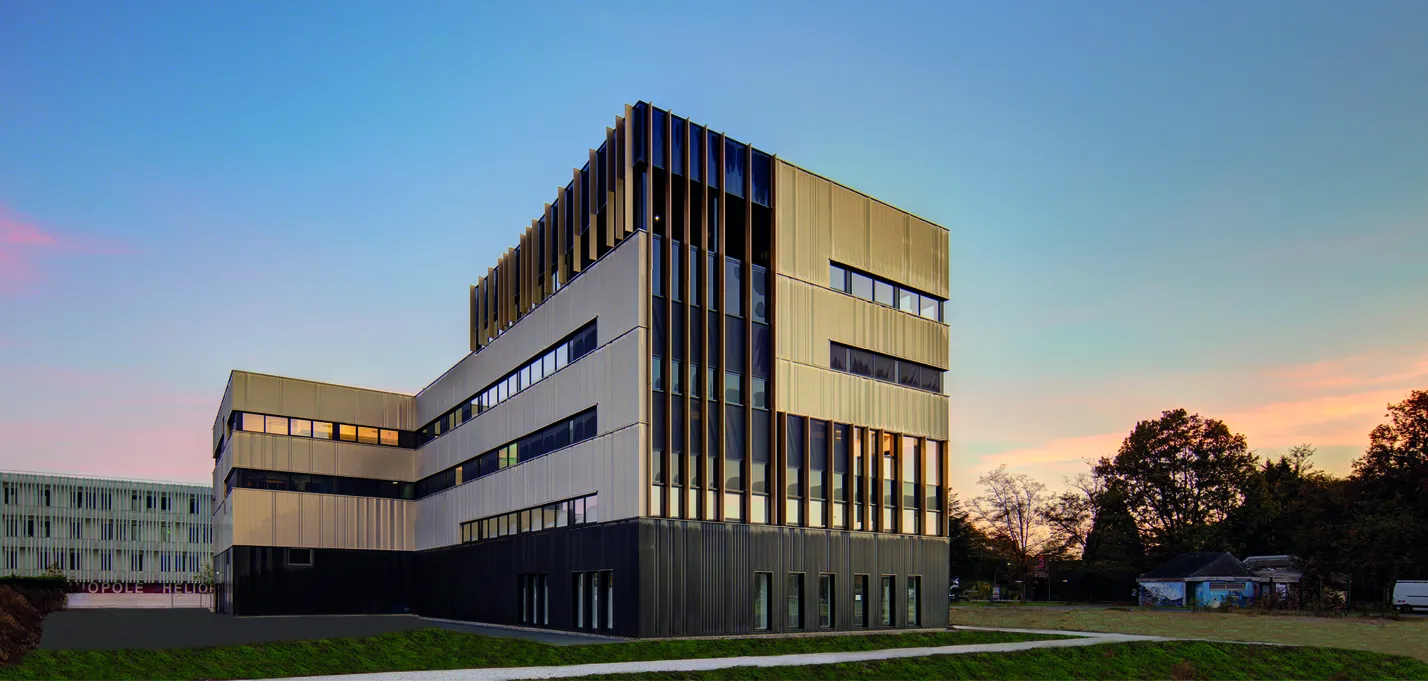 2 Pyrite © Xavier Dumoulin_buildingCompressFormat